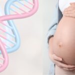 ADN Fetal Panorama: La prueba que puede cambiar el rumbo de tu embarazo